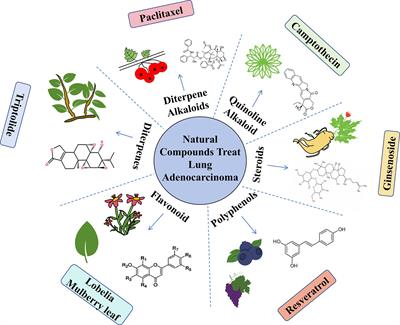 Progress in the treatment of lung adenocarcinoma by integrated traditional Chinese and Western medicine